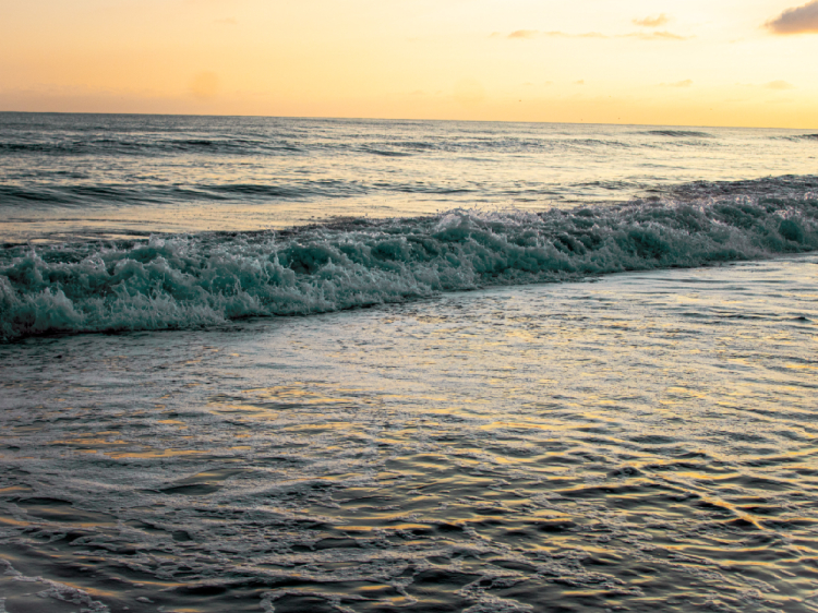 ocean waves